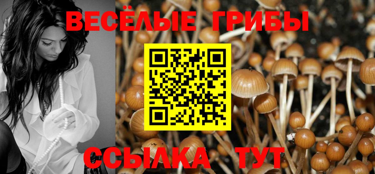 закладка  Галлюциногенные грибы GOLDEN TEACHER  Вход с VPN  Мыски 